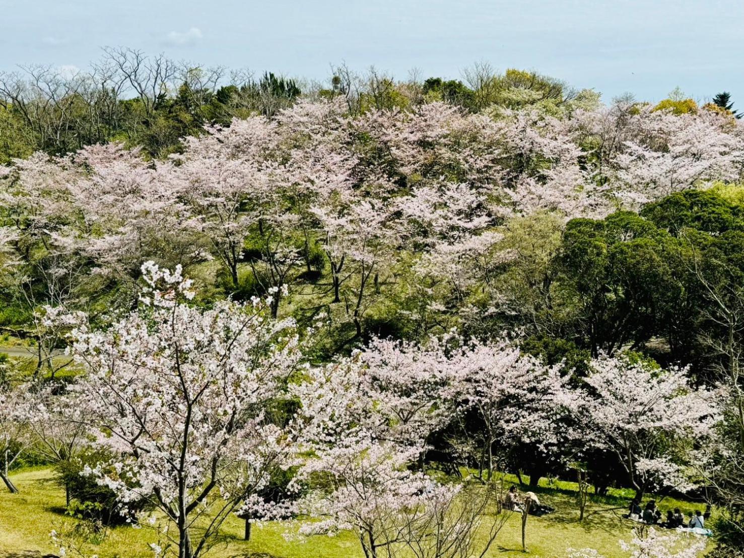 風乃家 Kaze No Ya Villa Sirahama Kültér fotó