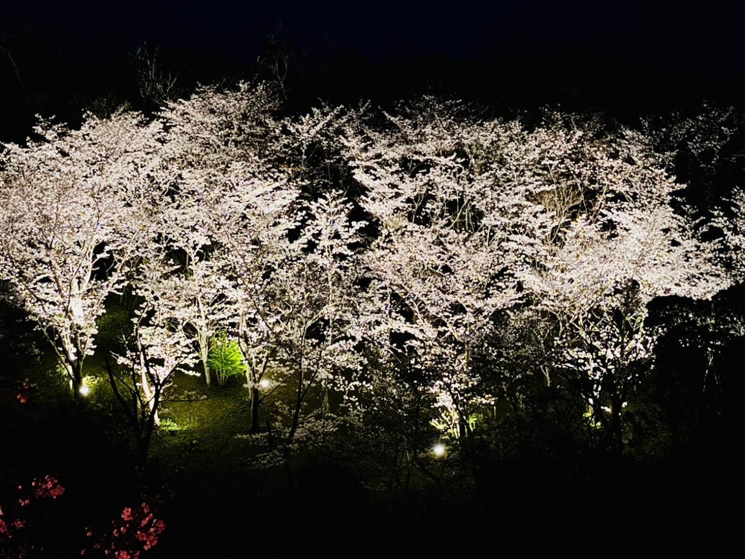 風乃家 Kaze No Ya Villa Sirahama Kültér fotó
